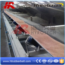 Conveyor Belt/Oil Resistant Conveyor Belt/V Belt